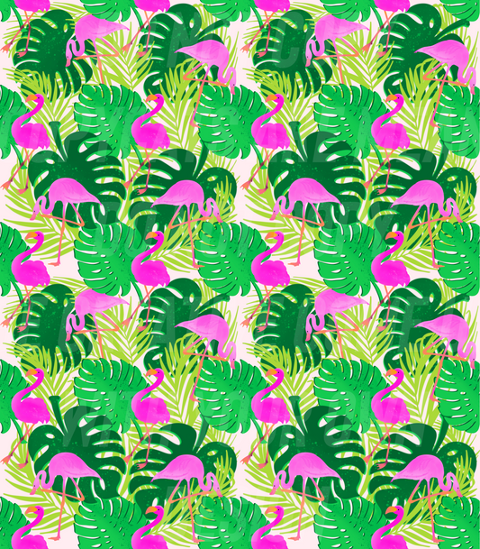 Flamingo palms (Tea Cup Sized)
