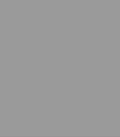 Solid Grey (Tea Cup Sized)